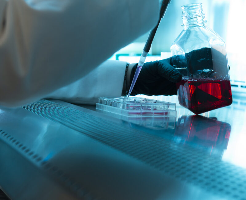 Bio-Block under the hood.