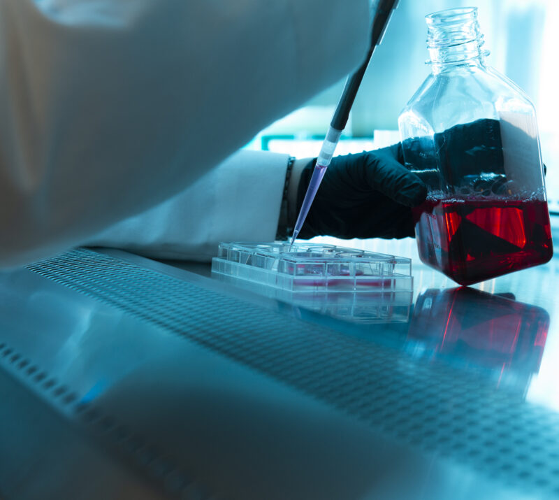 Bio-Block under the hood.